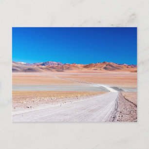 Pink Flamingoes in Bolivia Postcard