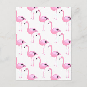 Pink Flamingos 2 2 Postcard