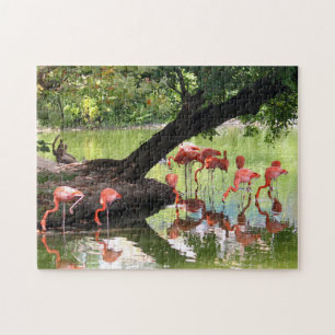 Pink Flamingos 7124 Jigsaw Puzzle