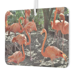 Pink Flamingos Air Freshener