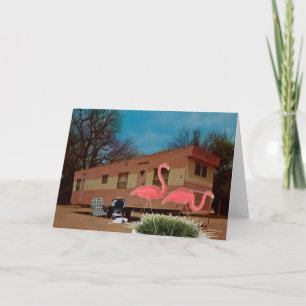 Pink Flamingos Card