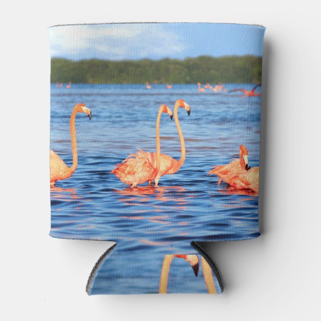 Pink flamingos: Celestun Park, Mexico. Can Cooler (Front)