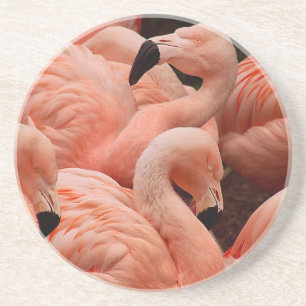 Pink flamingos coaster