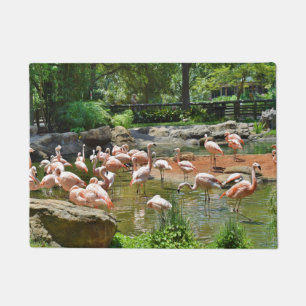 Pink Flamingos Door Mat