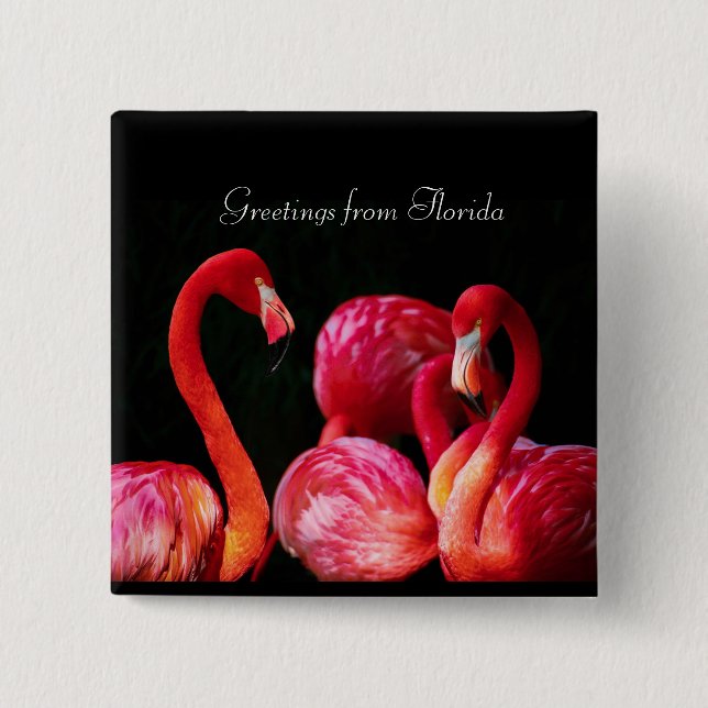 Pink Flamingo's ,Greetings from Florida  2 Inch Square Button (Front)