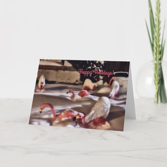 Pink Flamingos Holiday Card (Front)