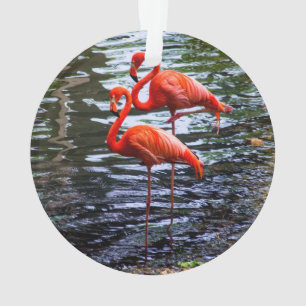 Pink Flamingos in Water Ornament