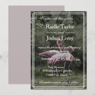 Pink flamingos outdoor nature wedding invitation