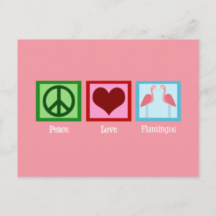 Pink Flamingos Postcard