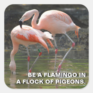 Pink Flamingos Square Sticker