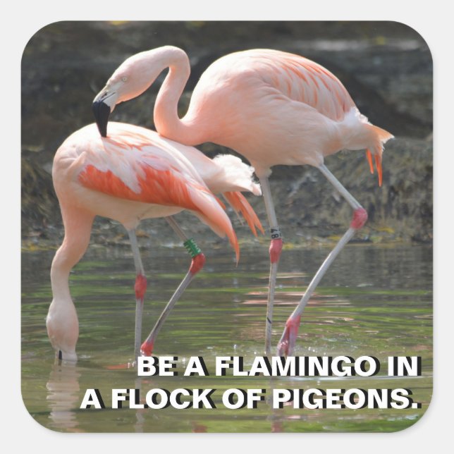 Pink Flamingos Sticker (Front)