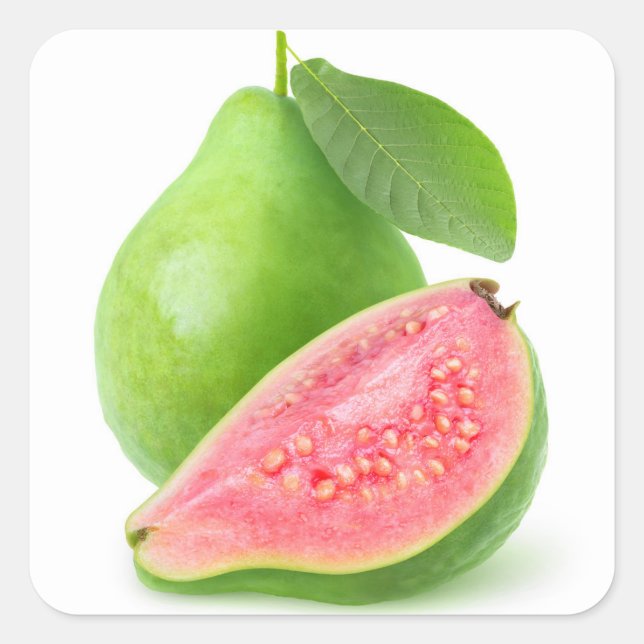 Pink fleshed guava square sticker (Front)