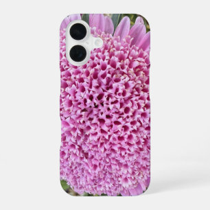 Pink Floral Aster Botanical iPhone 16 Case