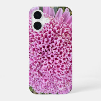 Pink Floral Aster Botanical iPhone 16 Case