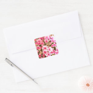 Pink Floral Bloom Pattern – Soft Botanical Design Square Sticker