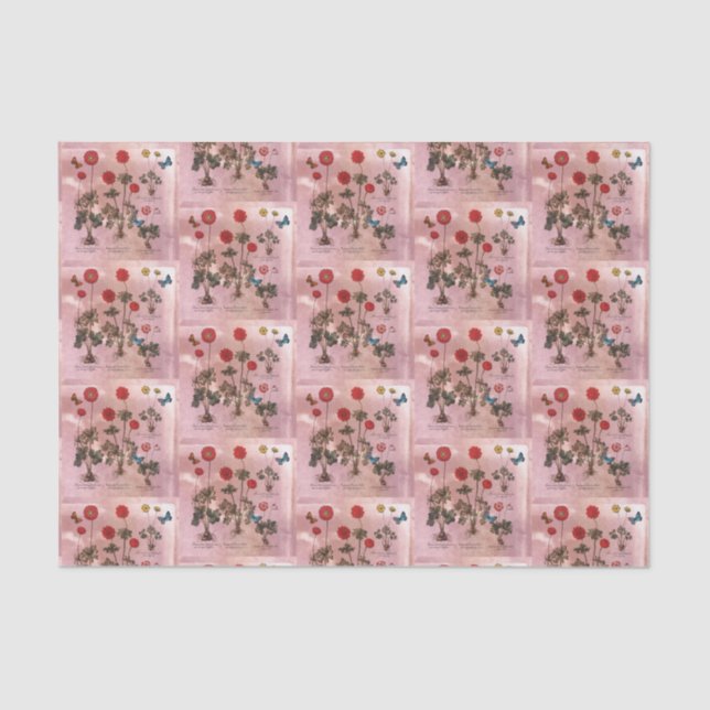 Pink Floral Botanical Tissue Paper (Front)