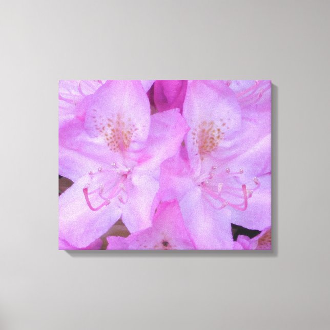 Pink Floral Canvas Art (Front)