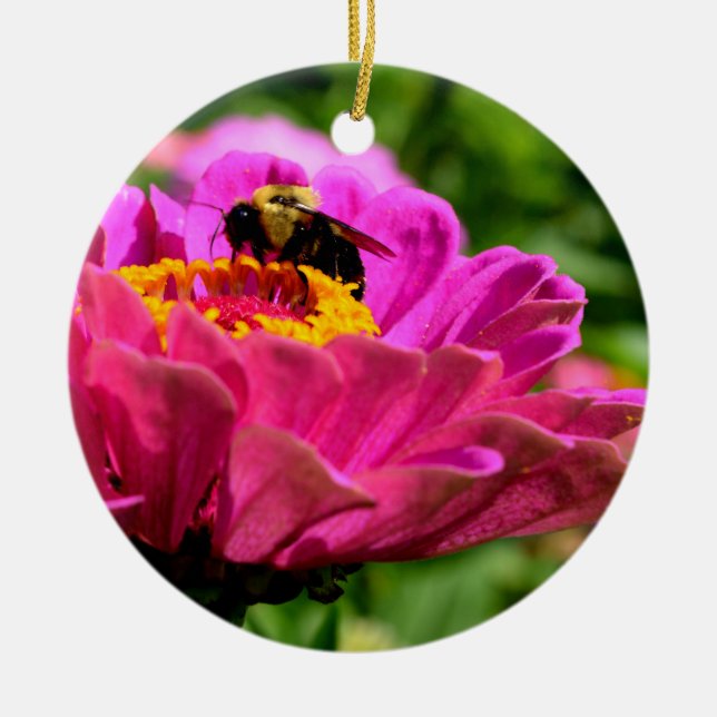 Pink floral flower Pink Zinnia with bumble bee Ceramic Ornament (Front)