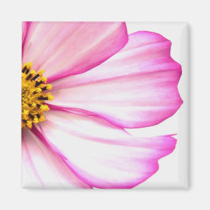 Pink Floral Magnet