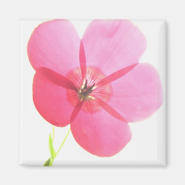 Pink Floral Magnet (Front)