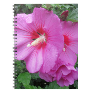 Pink Floral Photography Notebook