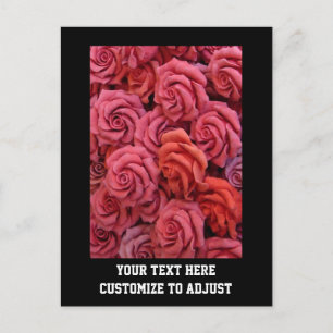 Pink floral roses postcard