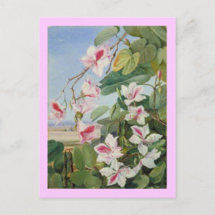 Pink Floral Spring Party Shower Peace Love Destiny Postcard