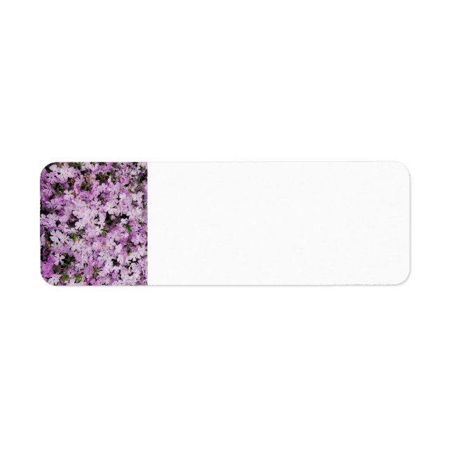 Pink flower (Front)