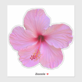 Pink Flower