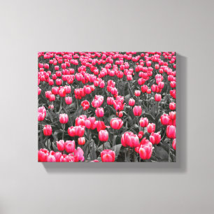 Pink Flower Art Canvas Print