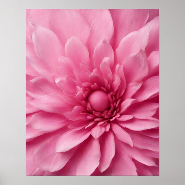 PINK FLOWER ART POSTER (Front)
