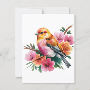 Pink Flower Bird Postcard