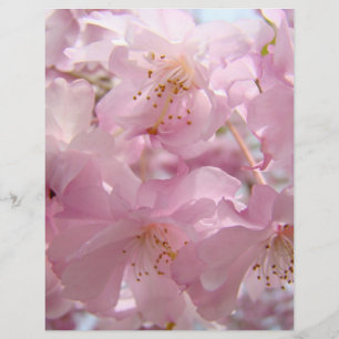 Pink Flower Blossoms Flyers paper Custom