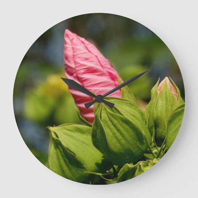 Pink Flower Bud Photo Round (Large) Wall Clock (Front)