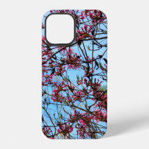 Pink Flower Buds on a Tree