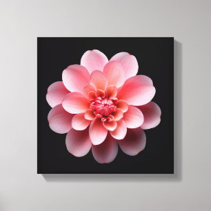 Pink Flower Canvas Print