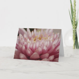 Pink Flower Close Up Note Card
