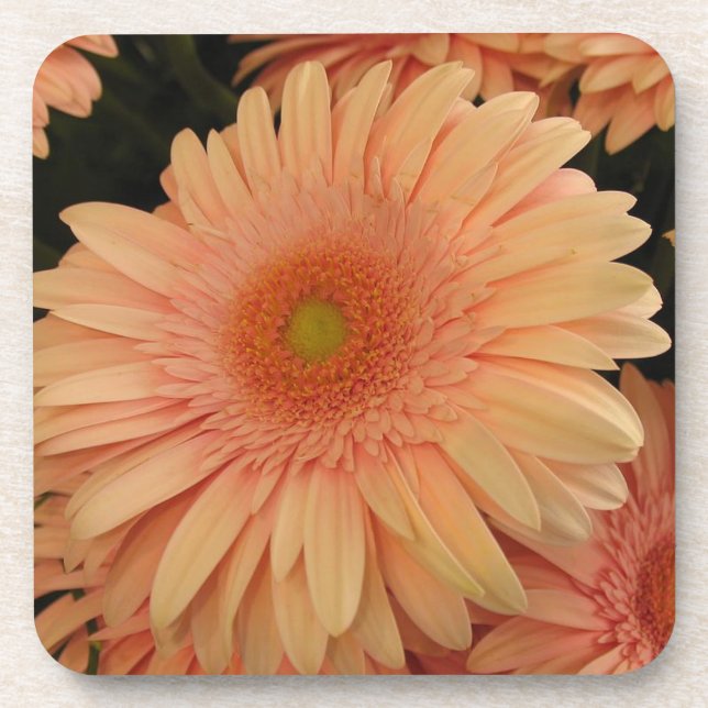 Pink Flower Cork Coaster (Front)