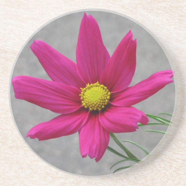 Pink Flower custom coaster (Front)