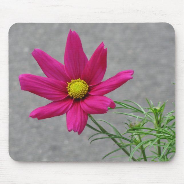 Pink Flower custom mousepad (Front)