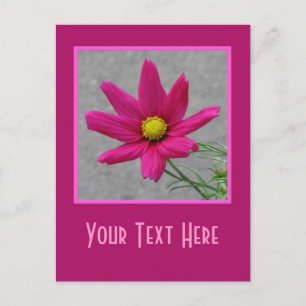 Pink Flower custom postcard