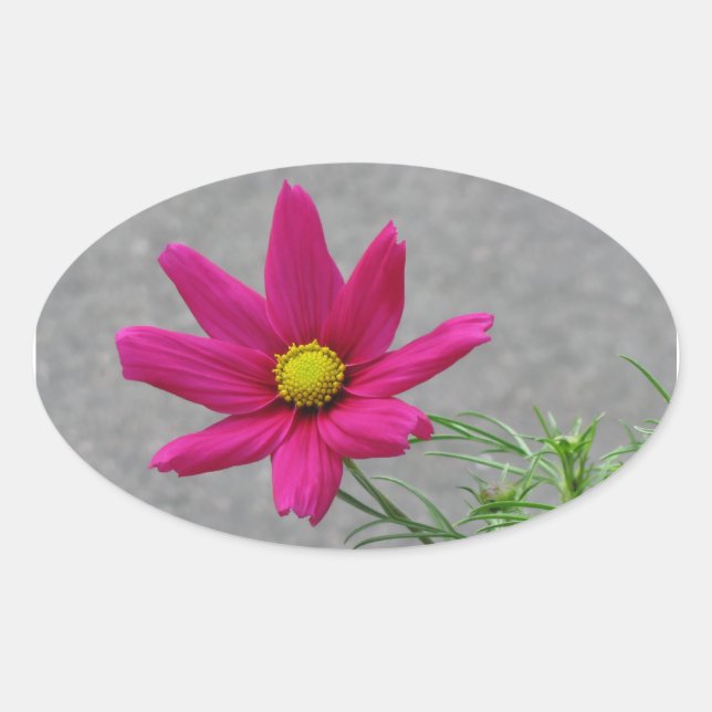 Pink Flower custom stickers (Front)