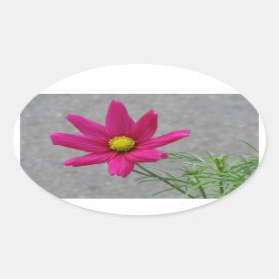 Pink Flower custom stickers