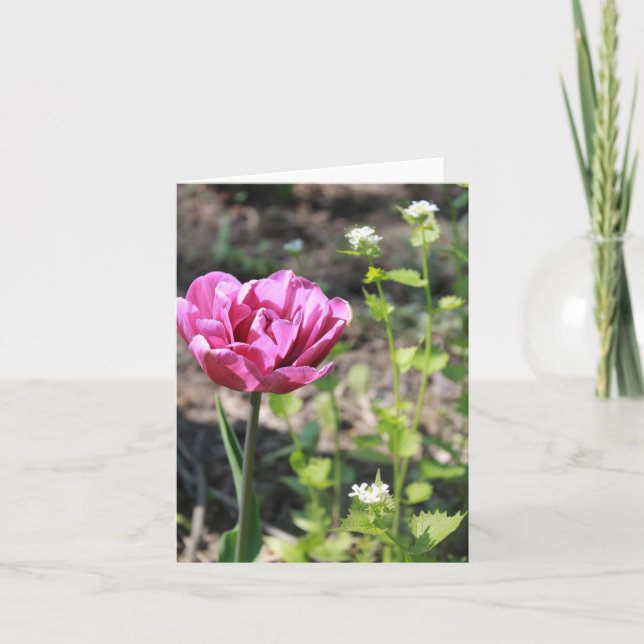 Pink Flower in the Garden Holiday Card (Front)
