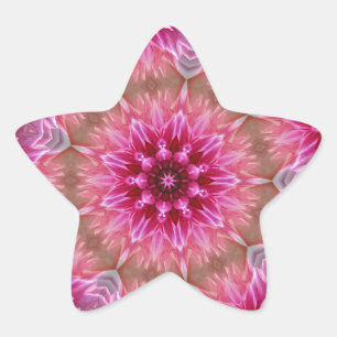 Pink Flower Kaleidoscope Mandala-43895 Star Sticker