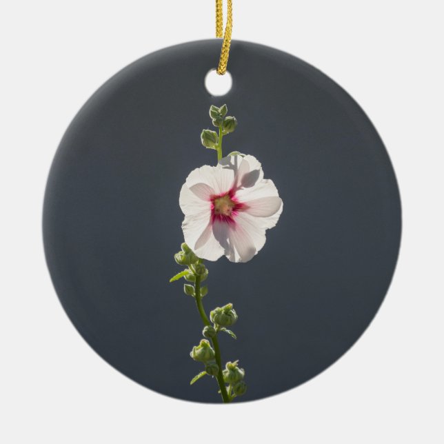 Pink Flower Mallow green leaves on dark grey   Ceramic Ornament (Front)