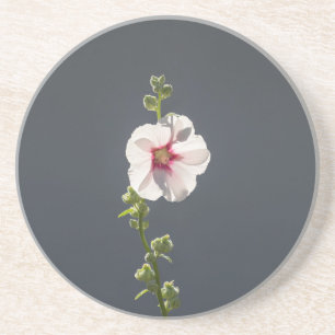 Pink Flower Mallow green leaves on dark grey Coaster