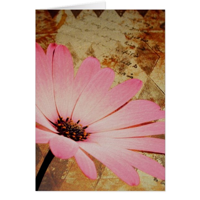 Pink flower mixed media (Front)