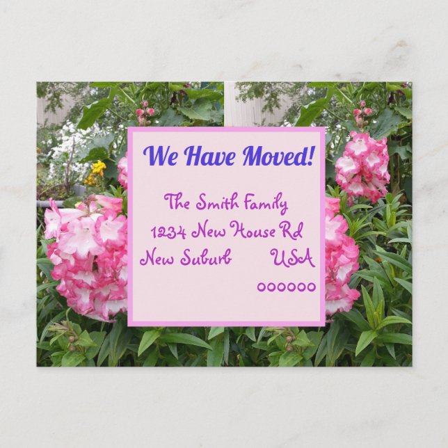 Pink Flower New Address Postcard, We Are Moving Postcard (Front)