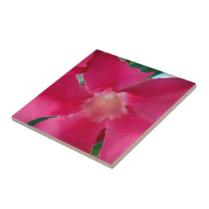 Pink Flower Petals Tile
